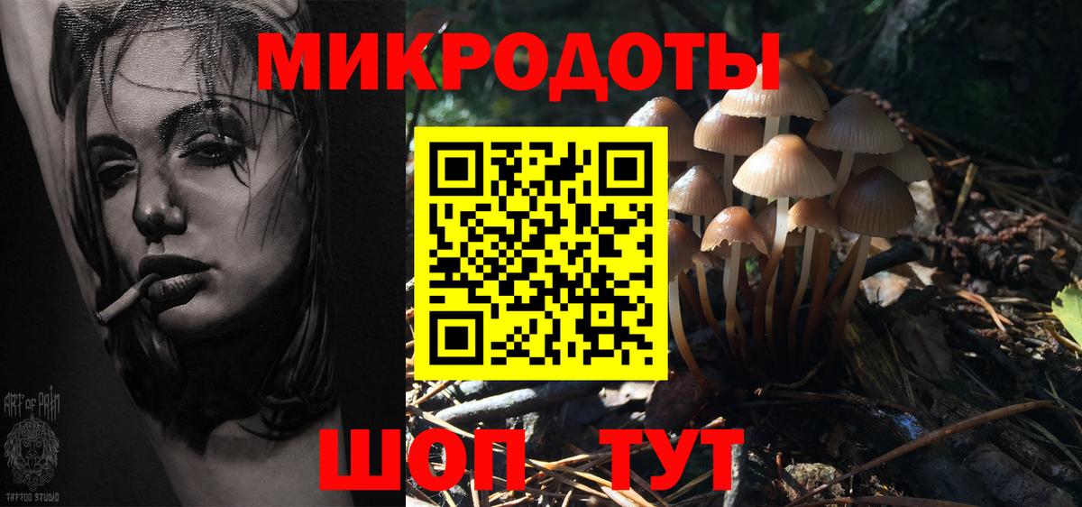 Галлюциногенные грибы Psilocybine cubensis Тында